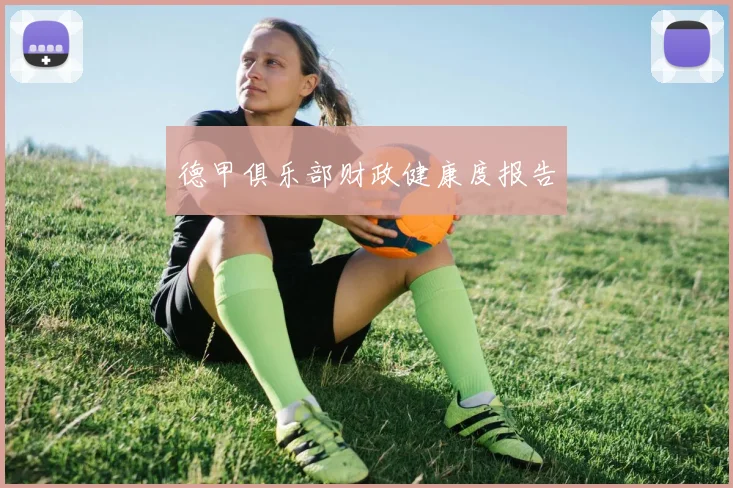 德甲俱乐部财政健康度报告