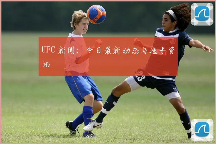 UFC 新闻：今日最新动态与选手资讯