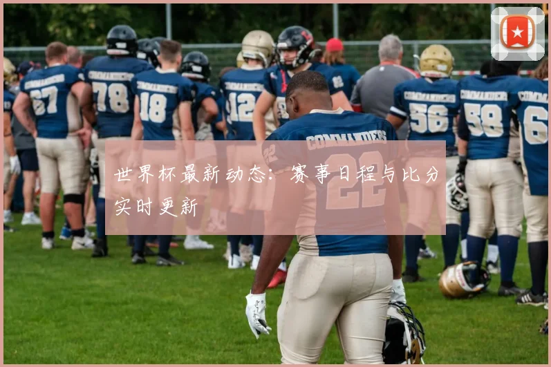 世界杯最新动态:赛事日程与比分实时更新