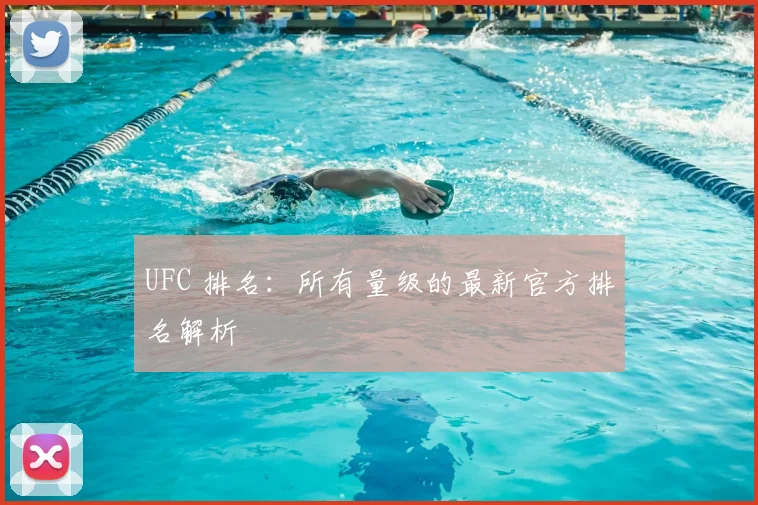 UFC 排名：所有量级的最新官方排名解析